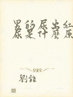 男的尿出红色的尿是什么原因封面