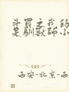 斗罗之我的武魂是驯兽师小说