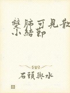 双肺可见散在微小结节