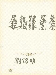 属龙跟属兔在一起姻缘怎么样