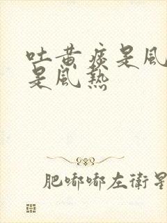 吐黄痰是风寒还是风热