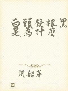 白头发根黑尾白是为什么