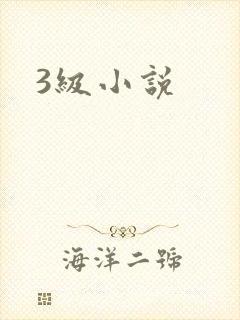 3级小说