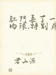 肛门长了一个硬肉球,特别疼