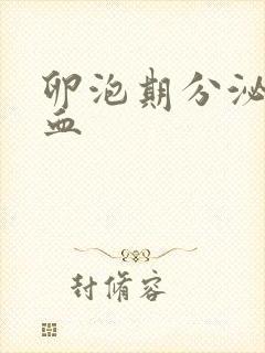 卵泡期分泌物带血封面