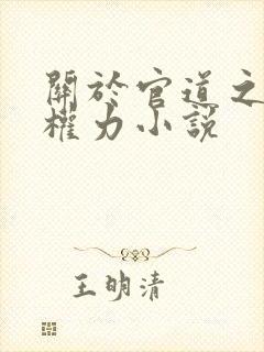 关于官道之绝对权力小说