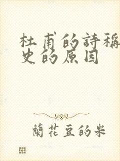 杜甫的诗称为诗史的原因封面