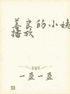善良的小姨在线播放封面