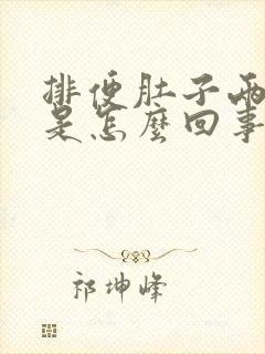 排便肚子两侧疼是怎么回事封面