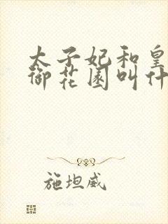 太子妃和皇帝在御花园叫什么小说