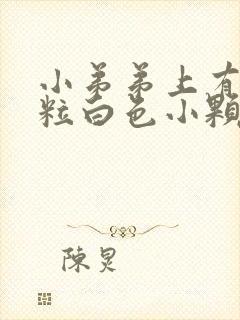 小弟弟上有一粒粒白色小颗粒