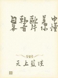 日韩欧美中文字幕看片你懂的