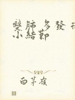 双肺 多发 微小结节