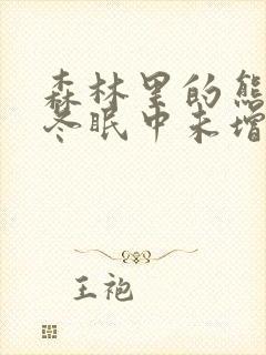 森林里的熊先生冬眠中未增删风车