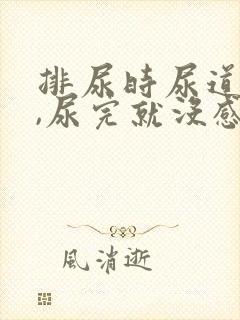 排尿时尿道灼热,尿完就没感觉了封面