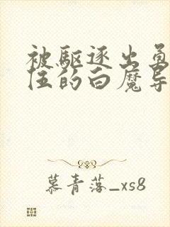 被驱逐出勇者队伍的白魔导师