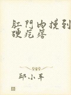 肛门内摸到一个硬疙瘩