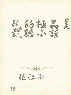 我的极品美女总裁听小说封面