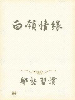 白领情缘