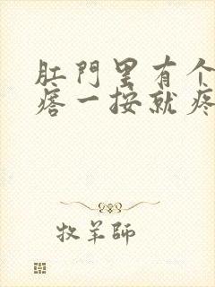 肛门里有个硬疙瘩一按就疼封面