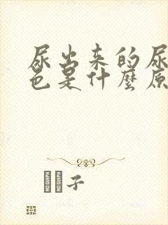 尿出来的尿是红色是什么原因