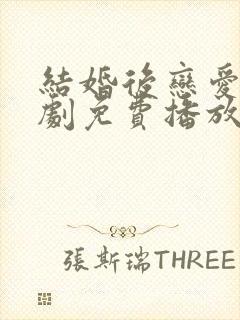 结婚后恋爱电视剧免费播放在线观看