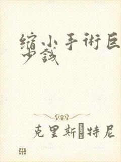 缩小手术巨乳多少钱