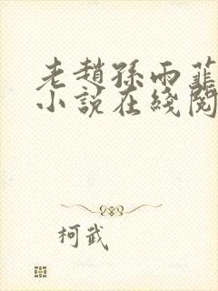 老赵孙雨菲全集小说在线阅读