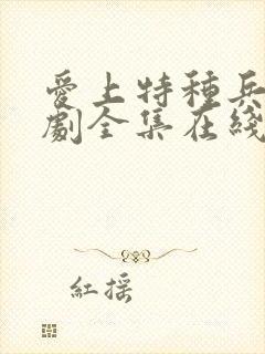 爱上特种兵电视剧全集在线免费