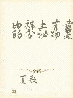 内裤上有黄绿色的分泌物是怎么回事封面