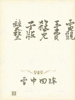 双子杀手电影完整版免费观看封面