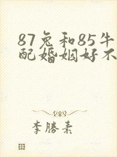 87兔和85牛配婚姻好不好封面