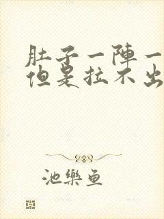 肚子一阵一阵痛但是拉不出来