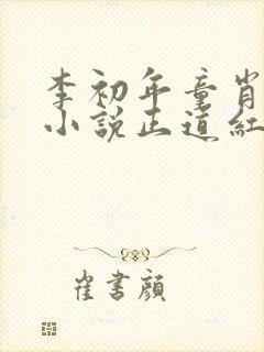 李初年童肖媛的小说正道红途