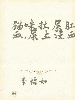 猫咪拉屎肛门出血,屎上没血