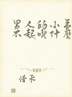 男人的小弟弟硬不起吃什么药