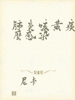 肺炎咳黄痰是什么感染