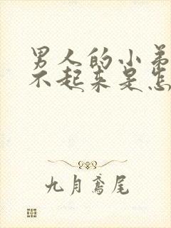 男人的小弟弟硬不起来是怎么回事