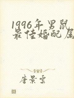1996年男鼠最佳婚配属相封面