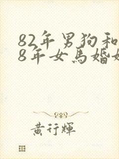 82年男狗和78年女马婚姻是否相配