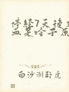 停经7天后又来血是啥子原因