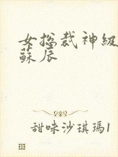 女总裁神级保镖苏辰