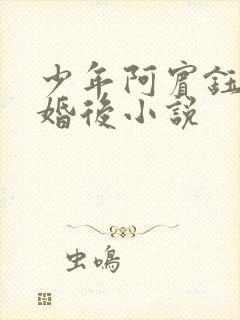 少年阿宾钰慧的婚后小说