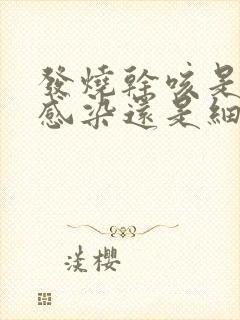 发烧干咳是病毒感染还是细菌感染封面