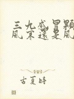 三九感冒颗粒是风寒还是风热封面