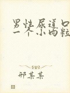 男性尿道口上有一个小肉粒