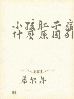 小孩肚子痛吐了什么原因引起的