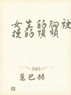 女生的胸被男生摸的视频