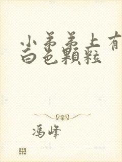 小弟弟上有很多白色颗粒封面