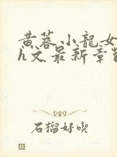 黄蓉小龙女双修h文最新章节列表